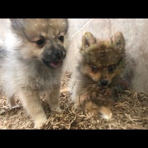 Meet your Posher, Camille